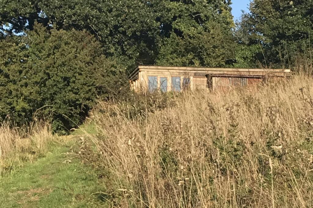 Foxesden, Unique Eco Cabin, Dartmoor Views South Brent 外观 照片